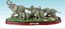 Wild Life Collection